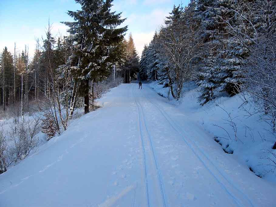 Schneelandschaft und Langlauf