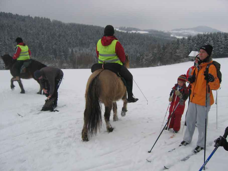 Mit den Pferden durch den Schnee